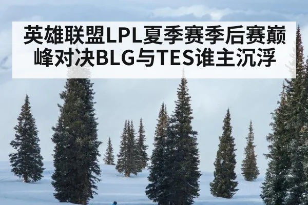 英雄联盟LPL夏季赛季后赛巅峰对决BLG与TES谁主沉浮