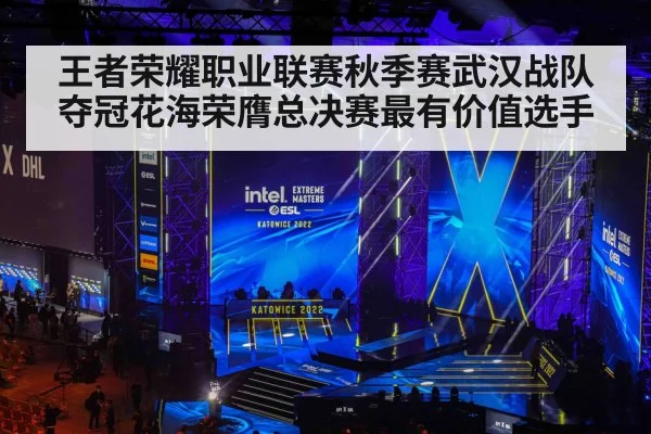 王者荣耀职业联赛秋季赛武汉战队夺冠花海荣膺总决赛最有价值选手
